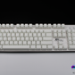 Blank White